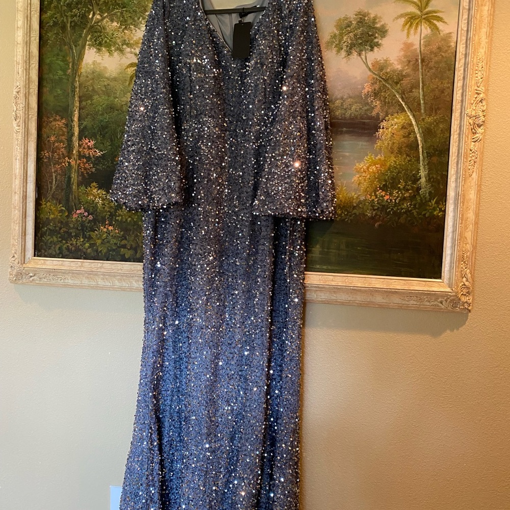 Mother of the Bride Elegant Silver Gown
Size 3x - Picture 5 of 6